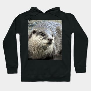 Otter Hoodie